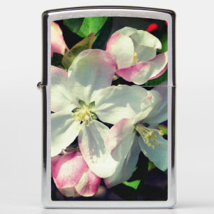 Crabapple Spring Flower Blossom Sluiten