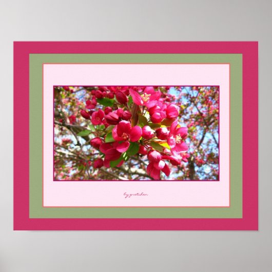 Crabappy Blossoms 2 Photo Poster par gretchen (Devant)