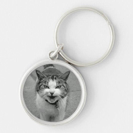 Crabby Cat Sleutelhanger (Voorkant)