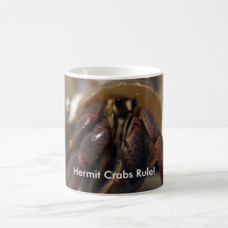 Crabby, Hermit Crabs Rule! Koffiemok