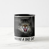 Crabby Kitty Chat Mug (Centre)