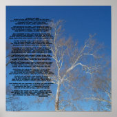 Crabby Old ManWat zie je er nur... Gepersonaliseer Poster (Voorkant)