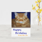 Crabby Tabby Carte d'Anniversaire - Drôle (Fleur jaune)