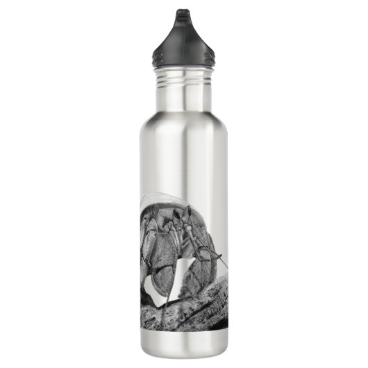 Crabby'til Coffee Ecuadorian Hermit Crab Art Stai Waterfles (Rechts)