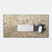 Crabe du bureau de sable (Clavier et souris)
