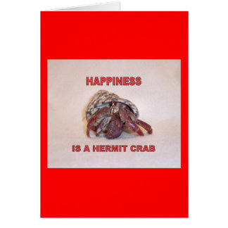 Crabe ermite #14