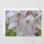 Crabe Pomme en fleurs mariage Faire-part (Dos)