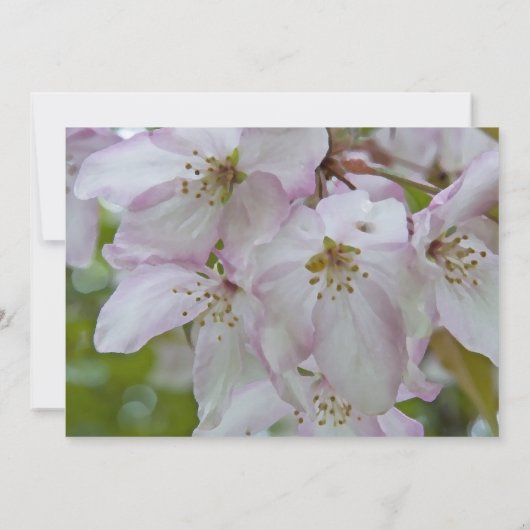 Crabe Pomme en fleurs mariage Faire-part (Dos)