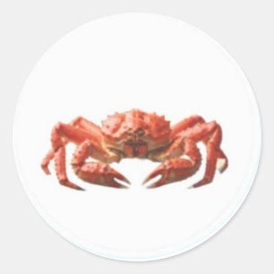Crabe Rouge Vibrant - Autocollant de la faune côti