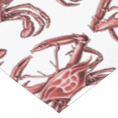 Crabe sentinelle, nappe rouge (Angle)