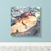 Crabe sur toile de bois flotté Imprimer (Insitu (Plancher de Bois))