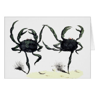 Crabe tango danse mignonne crabe de plage d'été vi