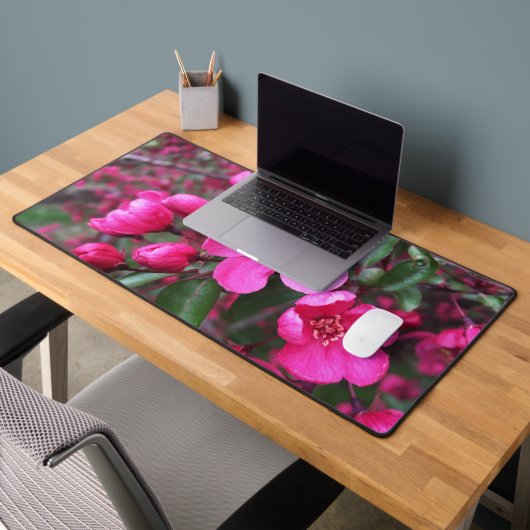 Crabelle rose à fleurs (Bureau 2)