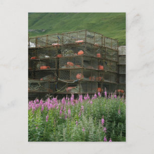 Crabpots opgeslagen in de Nederlandse haven van Al Briefkaart