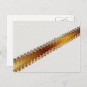 Crack - Carte postale fractale (Devant / Derrière)