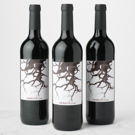 Cracké, Bois ancien, Élégants Étiquettes de vin su (Bouteilles)
