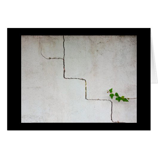 cracked (Devant horizontal)