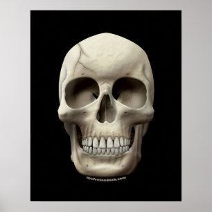 Cracked Skull Poster