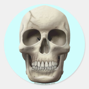 Cracked Skull Ronde Sticker