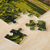 Cracovie, Château de Wawel, Pologne, beaux puzzles (Côté)