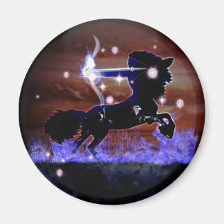 Craft Dungeon Zodiac - Sagittarius Magneet