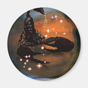 Craft Dungeon Zodiac - Scorpio Magneet
