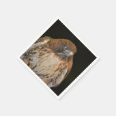 Crafty Hawk Servet (Hoek)