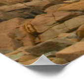 Craggy Coast, Acadia National Park, Maine Poster (Hoek)