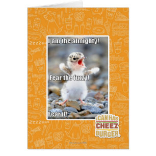 Craignez le brouillé !