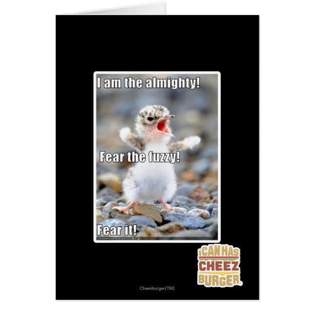 Craignez le Fuzzy ! (Devant)