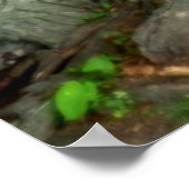 CRAINTE D'UNE affiche pour petits hommes (Coin)