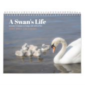 Crainte non écriture cygne calendrier photo (Protection)