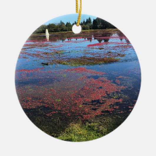 Cranberry Boerderij, Long Beach, Washington Keramisch Ornament (Voorkant)