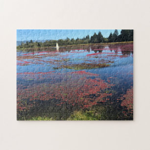 Cranberry Boerderij, Long Beach, Washington Legpuzzel
