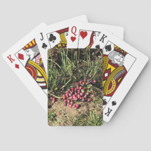 Cranberry Boerderij, Long Beach, Washington Pokerkaarten