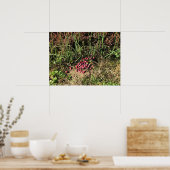 Cranberry Boerderij, Long Beach, Washington Poster (Keuken)