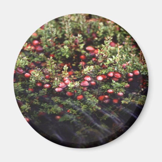 Cranberry Bog Magneet (Voorkant)