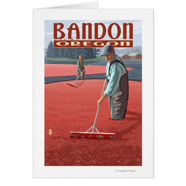 Cranberry Bogs Harvest - Bandon, Oregon (Voorkant)