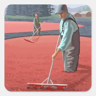 Cranberry Bogs Harvest Vintage Travel Poster Vierkante Sticker