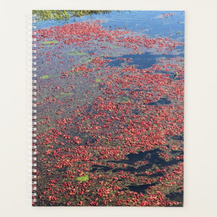 Cranberry Farm, Long Beach, Washington