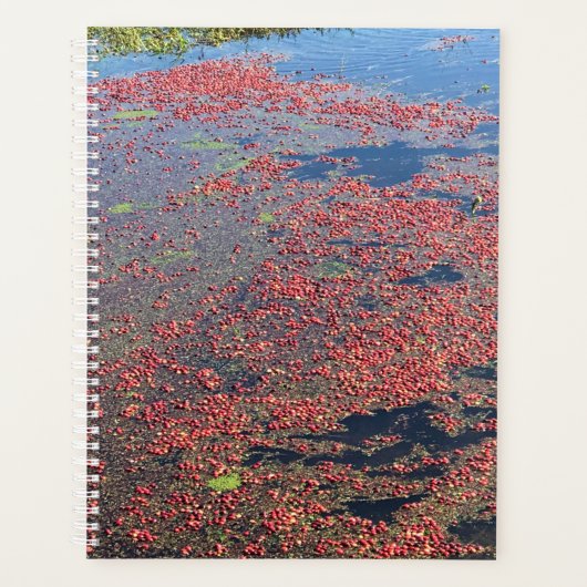 Cranberry Farm, Long Beach, Washington (Devant)