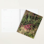 Cranberry Farm, Long Beach, Washington (Devant avec enveloppe)