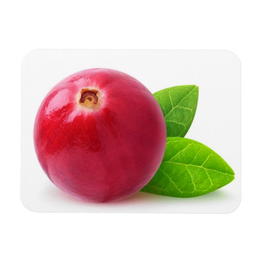 Cranberry Magneet (Horizontaal)