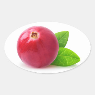 Cranberry Ovale Sticker