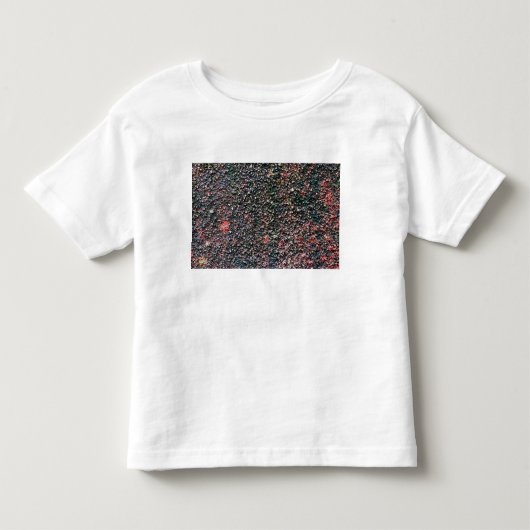 cranberry roeren kinder shirts (Voorkant)