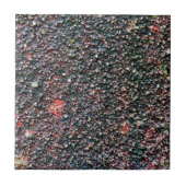 cranberry roeren tegeltje (Voorkant)
