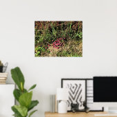 Cranberryboerderij, Long Beach, Washington Poster (Thuiskantoor)
