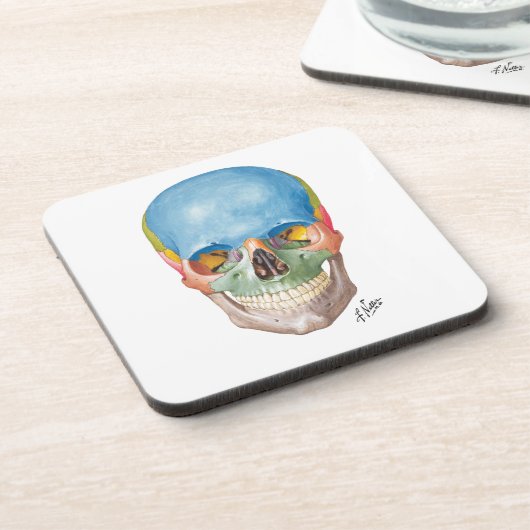 Crâne de Netter sur des dessous de verre de grès (Côté gauche)