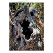 Crâne de souche d'arbre (Devant)