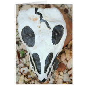 crâne dia del muerte